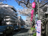 ������2007[0330-1]