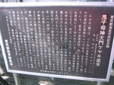 155_5537.JPG-keyaki2