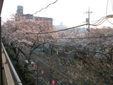 ������2007[03.29-1]