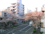 ������2007[03.28-2]
