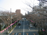 140_4019.JPG-3.21-1