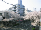 ������2007[04.01-2]