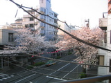 ������2007[03.29-2]