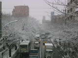 135_3585.JPG-01.21-1