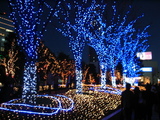 135_3510.JPG-shinjuku3