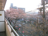 ������2007[03.28-1]