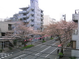 ������2007[03_27]