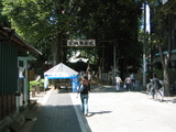 155_5538.JPG-kishimojin01
