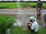 152_5220.JPG-hanabi01