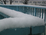 135_3586.JPG-01.21-2