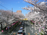 ������2007[0330-2]