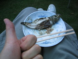 152_5242.JPG-BBQ3