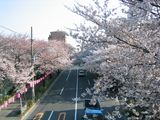 141_4124.JPG-06.03.30