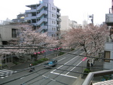 140_4066.JPG-3.26��