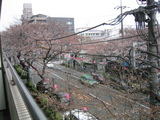 140_4067.JPG-3.26��