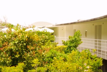 utoco