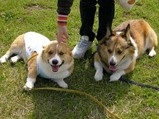 syun&vi