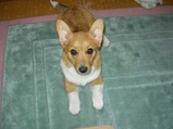 �������20050424