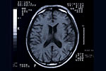 90104b6e.jpg