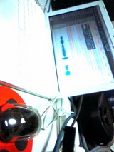 bf776e16.jpg