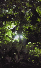 c404435f.jpg