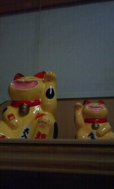 e3226c00.JPG