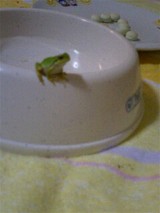 0326b33d.jpg