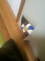�ȥ��ס��ɥ� �֥�å� �ݤ�