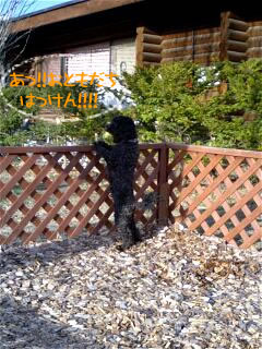 �ȥ��ס��ɥ롡�ݤ�