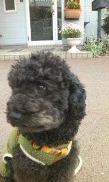 3dee6fb3.jpg