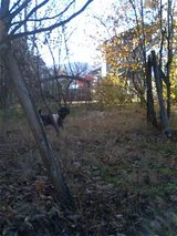 7da05a33.jpg