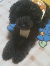 �ȥ��ס��ɥ�ݤ�