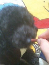�ȥ��ס��ɥ�ݤ�