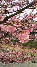 20100214150823