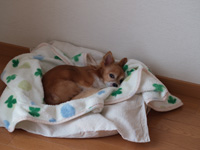 takuto