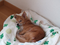 takuto