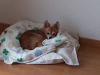 takuto