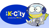 ���蘆��FM