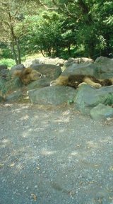 7e5d5891.jpg