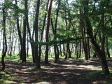 DSC00284