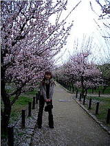 ume6