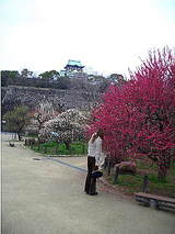 ume7