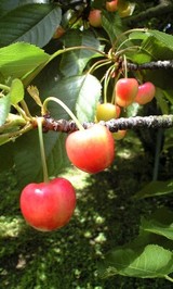 06e8d767.jpg