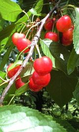 5c73ca88.jpg