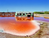 salton sea