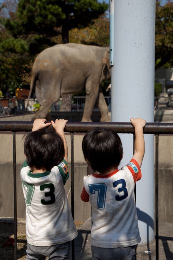 31京都市動物園-54