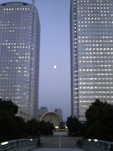 a82088f9.jpg