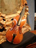 violino