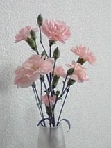 1c8fb014.jpg