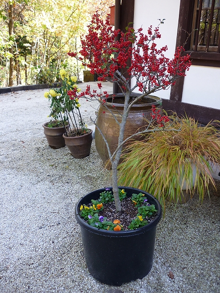 P1030794-s